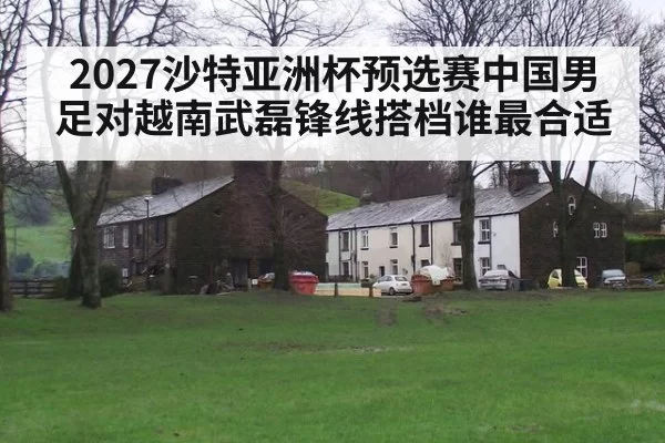 2027沙特亚洲杯预选赛中国男足对越南武磊锋线搭档谁最合适